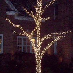 DC Lighting Pro - Christmas Tree