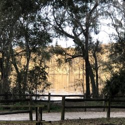 Withlacoochee State Forest - Nice surroundings