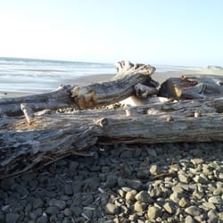 Seaside Yoga