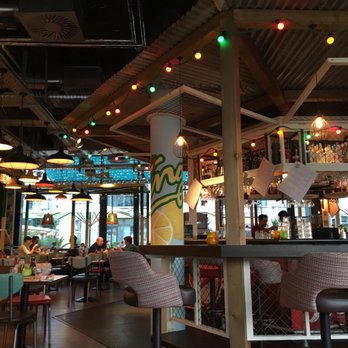 Turtle Bay - Cocktail Bars Near Me - Dresden, SN