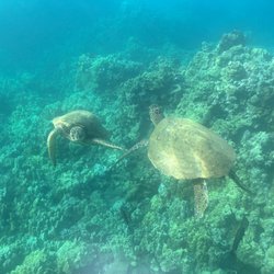Ohana Ocean Adventures
