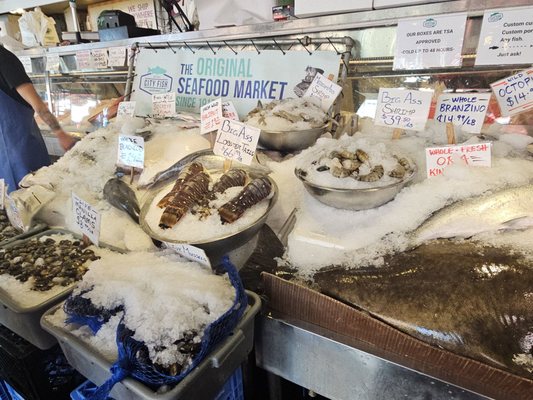 City Fish Co. by null