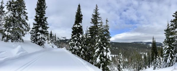 Tahoe Donner Cross Country Ski Center by null