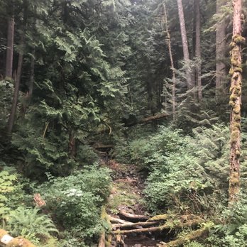 Poo Poo Point - Another view. - Hiking Near Me - Issaquah, Washington