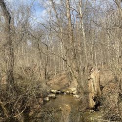 Orange Trail