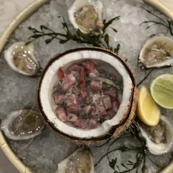 Salt + Ash - Coconut Tuna Ceviche & Oysters - New American Near Me - Duck Key, Florida Salt + Ash - Coconut Tuna Ceviche & Oysters - New American Near Me - Duck Key, Florida