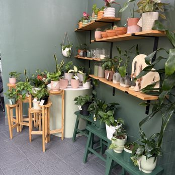 Meera Coffee & Plants - Inside - Creperies Near Me - Simi Valley, California Meera Coffee & Plants - Inside - Creperies Near Me - Simi Valley, California