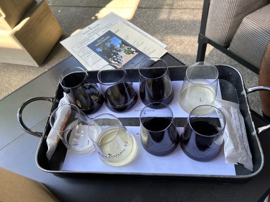 Black Stallion Estate Winery by null