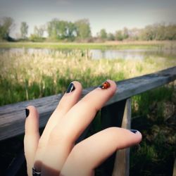 Lake Kegonsa State Park - Ladybug in the change rooms tagged along for a wetland view