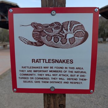 Mojave National Preserve - Parks Near Me - Kelso, California