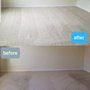 Capital Carpet Cleaning