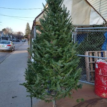 Willy's Variety - Christmas trees! - Grocery Near Me - Bennington, Vermont Willy's Variety - Christmas trees! - Grocery Near Me - Bennington, Vermont