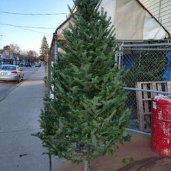 Willy's Variety - Christmas trees!