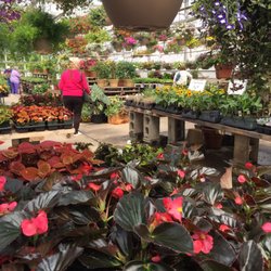 Debrucque Greenhouses - Great selection of annuals and perennials.