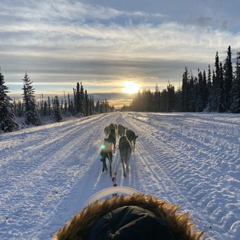 Rod's Alaskan Guide Service - View from the dog sled - Fishing Near Me - North Pole, Alaska Rod's Alaskan Guide Service - View from the dog sled - Fishing Near Me - North Pole, Alaska
