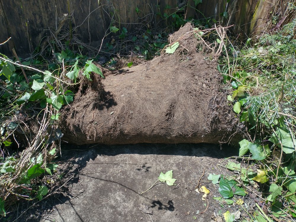 Trees & Thank You - tree service in San Francisco, CA