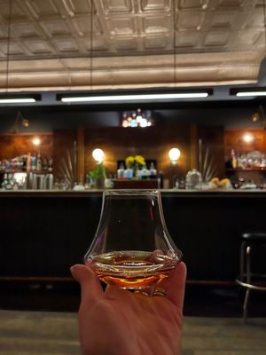 One Legged Magpie by null