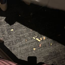 This is the food that stayed at my feet my entire meal after my husband asked them to clean it up