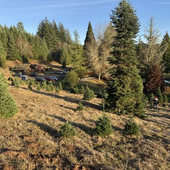 Loch Lolly Christmas Forest - Nurseries & Gardening Near Me - North Plains, Oregon Loch Lolly Christmas Forest - Nurseries & Gardening Near Me - North Plains, Oregon