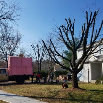 M & J Landscaping - Small tree trimming jobs! - Landscaping Near Me M & J Landscaping - Small tree trimming jobs! - Landscaping Near Me