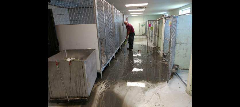 Slide of Coe's Drain Cleaning Specialists