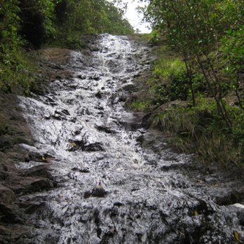Ka'au Crater - 3rd set of waterfalls, plus this steep and slippery stretch takes you directly to the summit! - Hiking Near Me - Honolulu, Hawaii