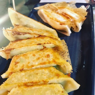 Tokyo Dumpling by null
