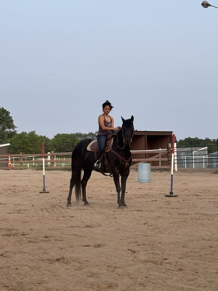 Hanson Horses - equestrian in Isanti , MN