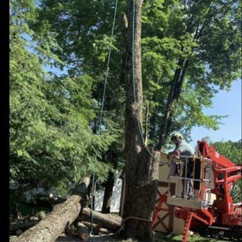 CLIMB AND GRIND - Tree Services Near Me CLIMB AND GRIND - Tree Services Near Me