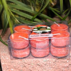 The Olive Tree - 1 dozen soy wax candles.