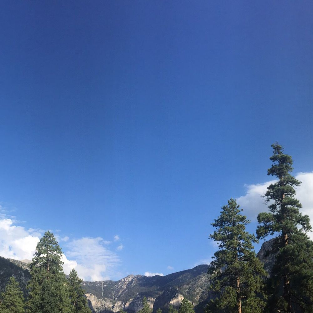 Cathedral Rock - Blue skies!! - Hiking Near Me - Mt Charleston, Nevada