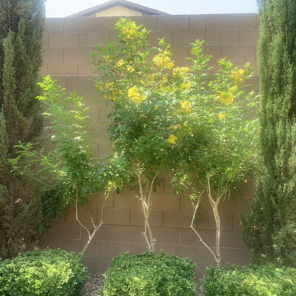 Affordable Lawn Maintenance - Landscaping Near Me Affordable Lawn Maintenance - Landscaping Near Me