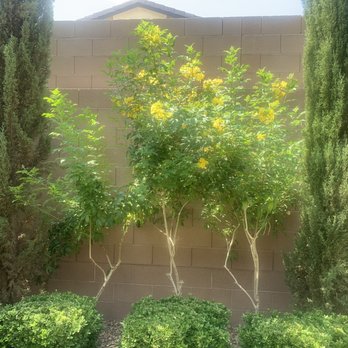 Affordable Lawn Maintenance - Landscaping Near Me
