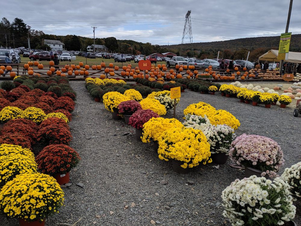 Mazezilla / Klingel Farms, Saylorsburg Roadtrippers