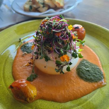 Crystal Bakes - Fresh burrata appetizer with toast points and red pepper coulis - Personal Chefs Near Me - Orlando, Florida Crystal Bakes - Fresh burrata appetizer with toast points and red pepper coulis - Personal Chefs Near Me - Orlando, Florida
