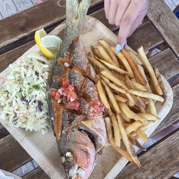 What The Fish Rolls - Seafood Near Me - Tavernier, Florida What The Fish Rolls - Seafood Near Me - Tavernier, Florida