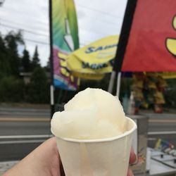 NYC Dirty Water Dogs - Lemon Italian ice