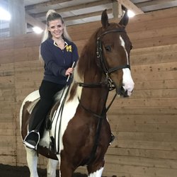 Sterling Hill Riding Academy - Whether you prefer; Morgan or Saddlebred, Saddleseat or Western, Driving, Equitation, or Pleasure, Sterling Hill can meet your needs.