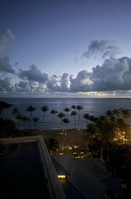 The Ritz Carlton Reserve SPA Botánico by null