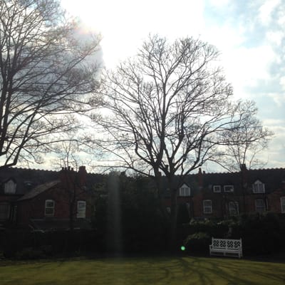 Soho House Museum by null