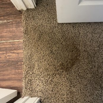 Bentley Place Duplexes - The leak that is now causing the floor and carpet to rise and stain. There is clear rust in the carpet. - Property Management Near Me - San Antonio, Texas Bentley Place Duplexes - The leak that is now causing the floor and carpet to rise and stain. There is clear rust in the carpet. - Property Management Near Me - San Antonio, Texas