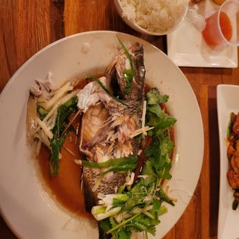 Rice Bistro - I had whole fish steamed. I thought I was back in China or Asia in general. - Chinese Near Me - Port Orange, Florida Rice Bistro - I had whole fish steamed. I thought I was back in China or Asia in general. - Chinese Near Me - Port Orange, Florida