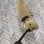 Photo of Heckin Good Dog Training