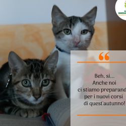 Spazio DarshaNatura - I due più giovani esponenti della seconda generazione di MiciOlistici...