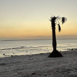 Bunche Beach Preserve