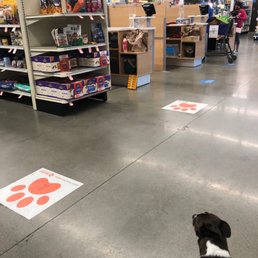 Waiting for a groomer