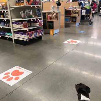 PetSmart - Waiting for a groomer - Pet Stores Near Me - Chula Vista, California