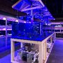 Photo of The Fish Tank