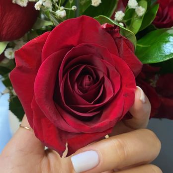 Grace Honey Spa - Nail Salons Near Me - Rutherford, New Jersey