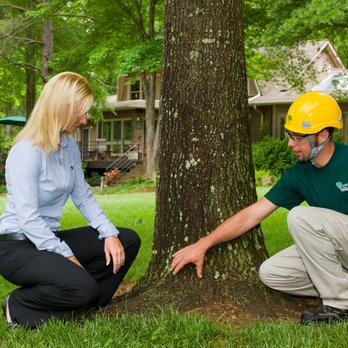 Bartlett Tree Experts - Tree Services Near Me - Carlisle, Pennsylvania Bartlett Tree Experts - Tree Services Near Me - Carlisle, Pennsylvania
